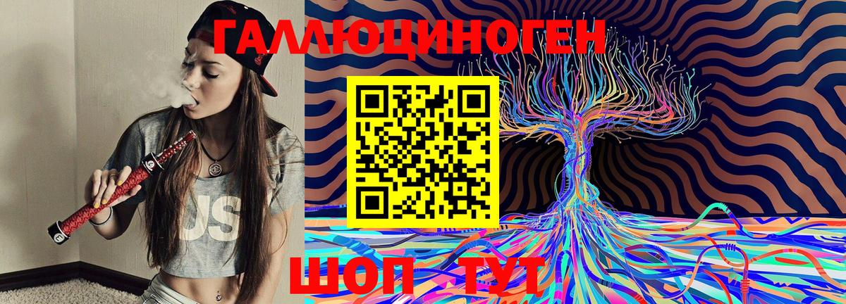 Галлюциногенные грибы Psilocybe  Вход с VPN  Москва 