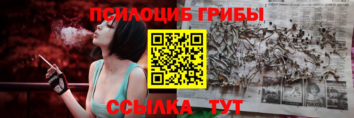Псилоцибиновые грибы Cubensis Москва